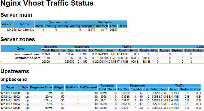 Nginx Vhost Traffic Statistics