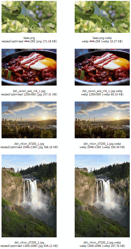 WebP comparison gallery showing side-by-side image quality comparison between optimised JPG/PNG and WebP versions, part 1